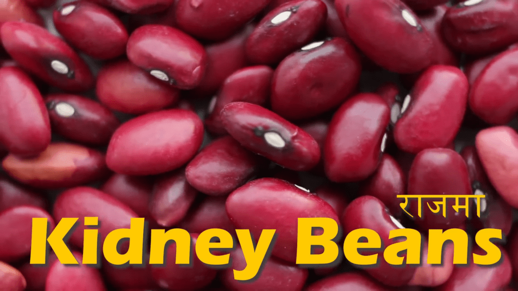 Kidney Beans