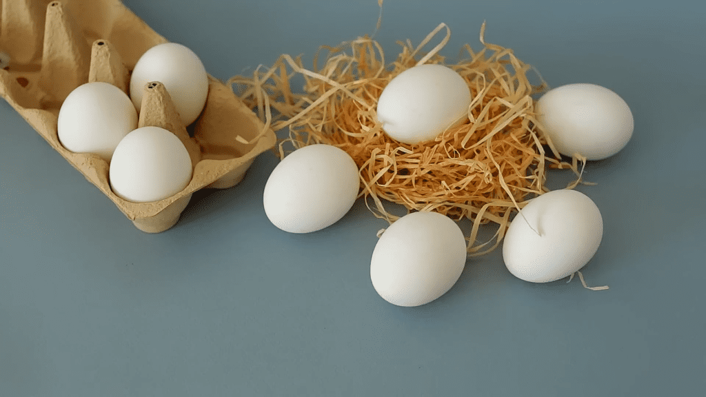 Uncooked Eggs