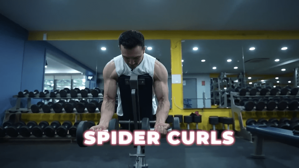 Spider Curls