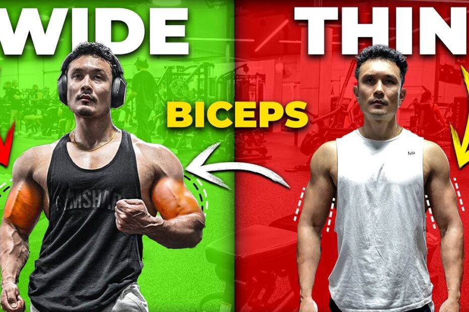 How to Get Wider Biceps in 2024