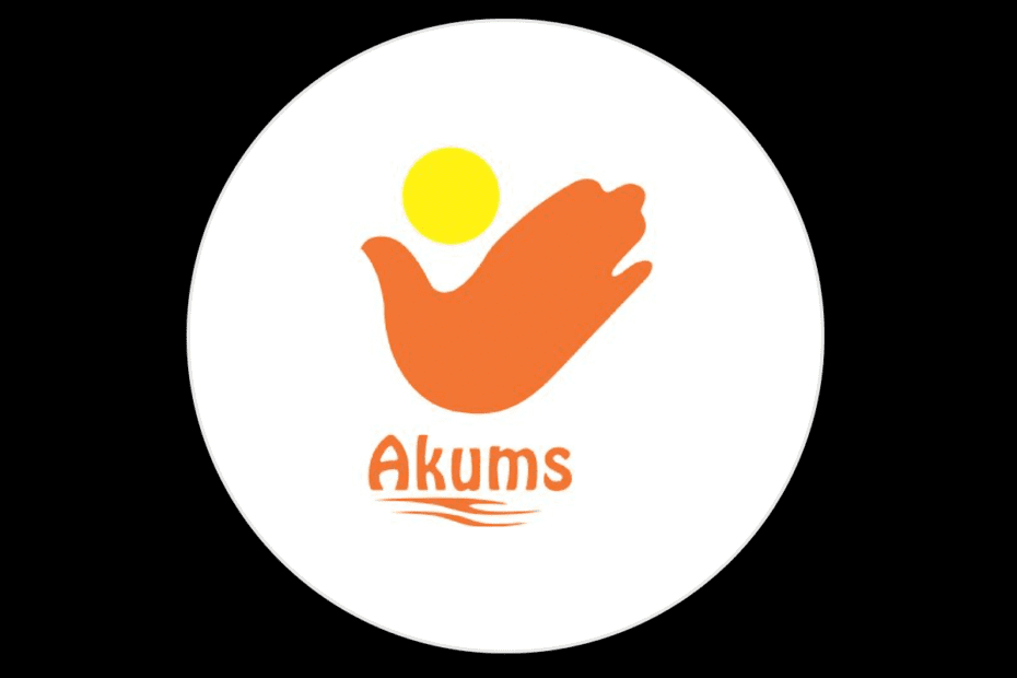 Akums Drugs IPO